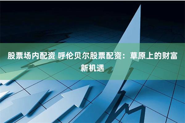 股票场内配资 呼伦贝尔股票配资：草原上的财富新机遇