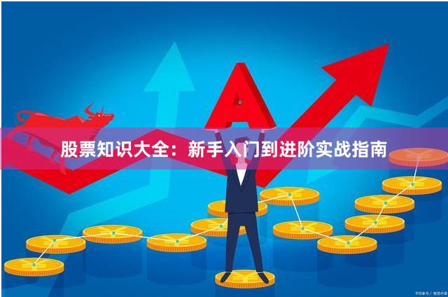 股票知识大全：新手入门到进阶实战指南